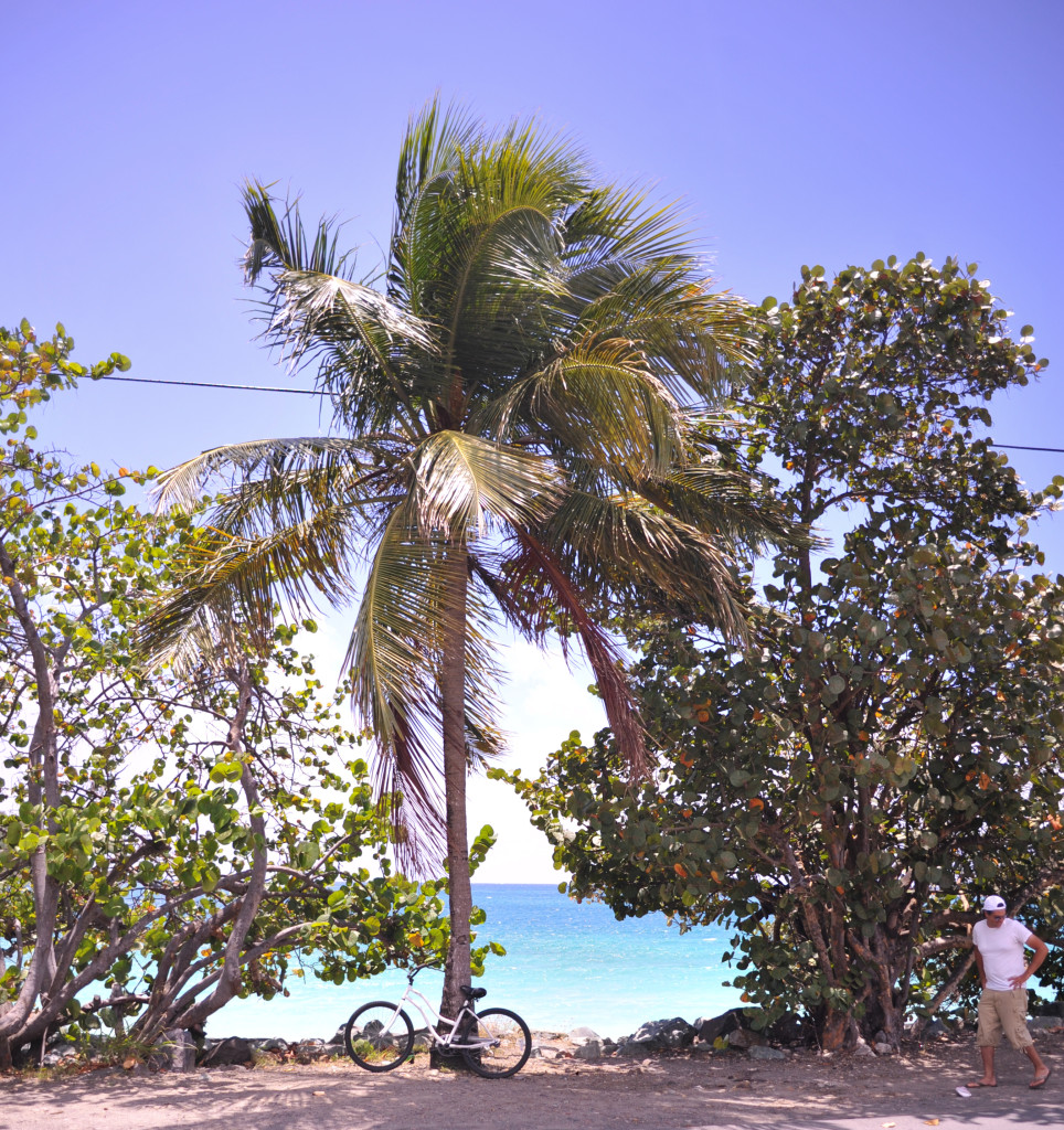 bike rental tour includes a bike to the beach